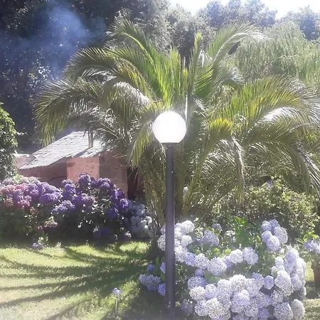 Casa Da Carballeira Semesterbostad A Estrada