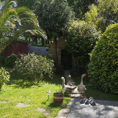 Casa Da Carballeira * A Estrada
