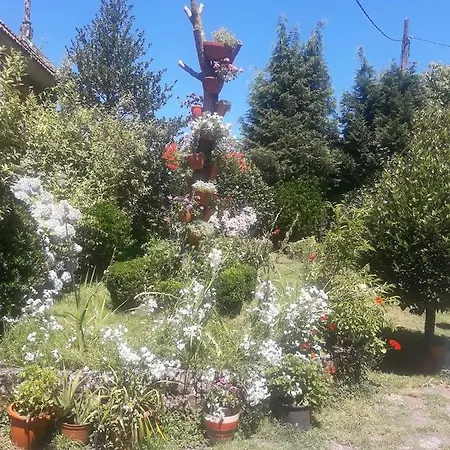 Casa Da Carballeira *